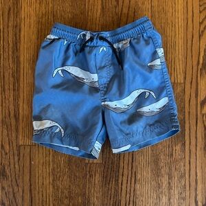 Tea Blue Whale Swim Trunks Shorts, Size 3